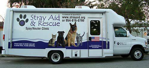 Spay Or Neuter Your Pet Or A Neighborhood Stray Very Affordable (Hollywood)