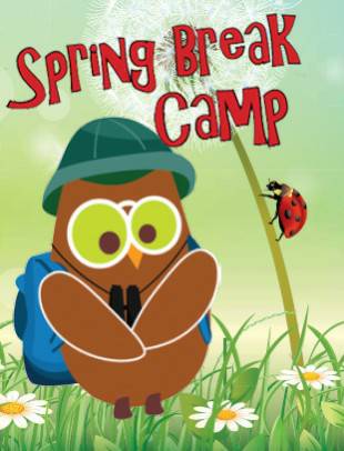 SPRING BREAK 1 week camp for eastsode school agers (kirkland)