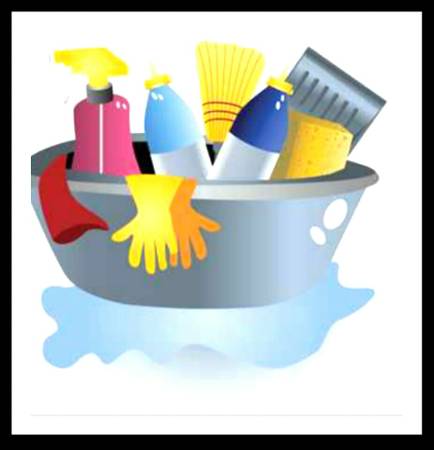 Spring Cleaning Great Special (Plainfield Avon)