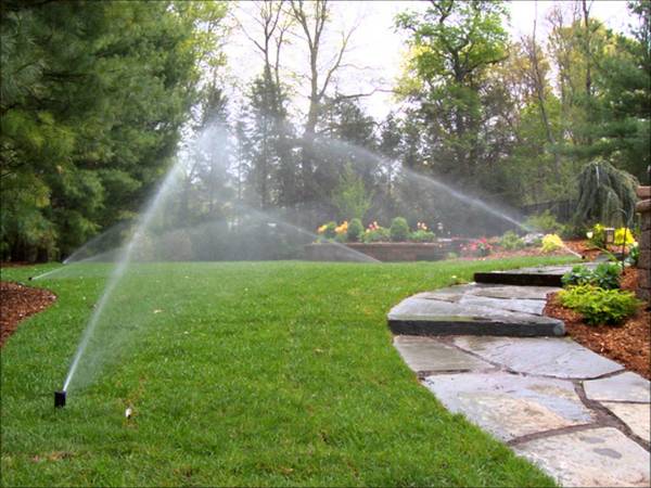 Sprinkler Blow Outs