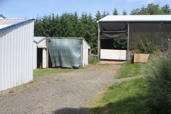 Stall with Paddock Available Self or Partial