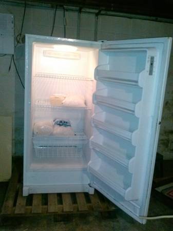 stand up freezer for sale