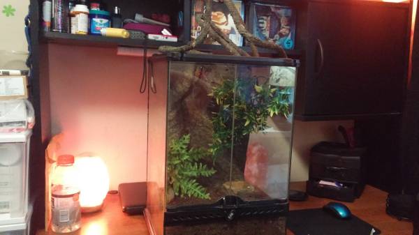 Stand up Reptile Tank 80 obo (milwaukee)