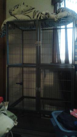 steel ferret cage 75 (United States)