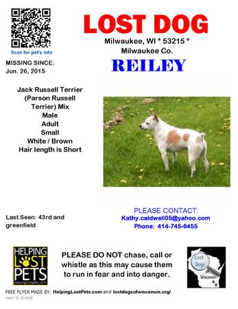 STILL MISSING  WhiteBrown Male Jack Russell Terrier Mix (see pic) (Milwaukee)