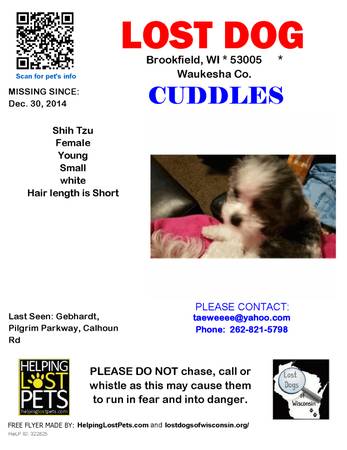 STILL MISSING Young Female Shih Tzu (see pic) (Brookfield  Waukesha Co.)