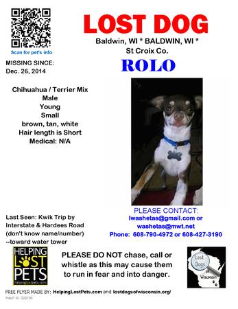 STILL MISSING  Young Male ChihuahuaTerrier Mix (please see pic) (Baldwin  St Croix Co.)