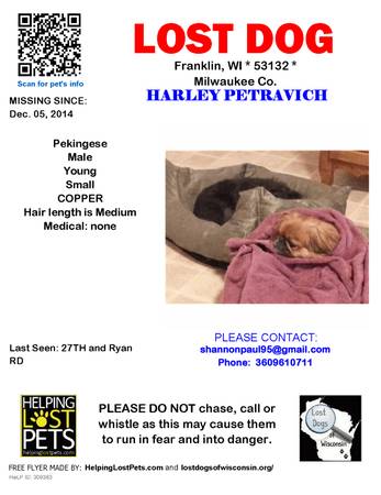 STILL MISSING  Young Male Pekingese (see pic) (Franklin  Milwaukee Co.)