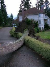 Storm Damage Specialist (247 ResidentialCommercialMunicipal)