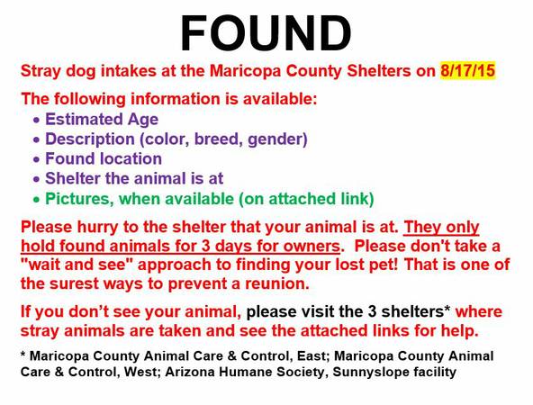 STRAY  FOUND DOGS BROUGHT TO THE SHELTER 81715 (West Valley amp East Valley Animal Care)