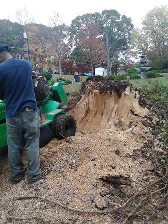 Stump Grinding and Removal available from Overcoming Obstacles (Northern VA)