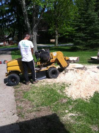 Stump Grinding For Less (Cleveland and Suburbs)