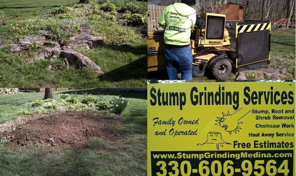 Stump Grinding Services Professional and Affordable (MedinaCuyahogaLorainWayne)