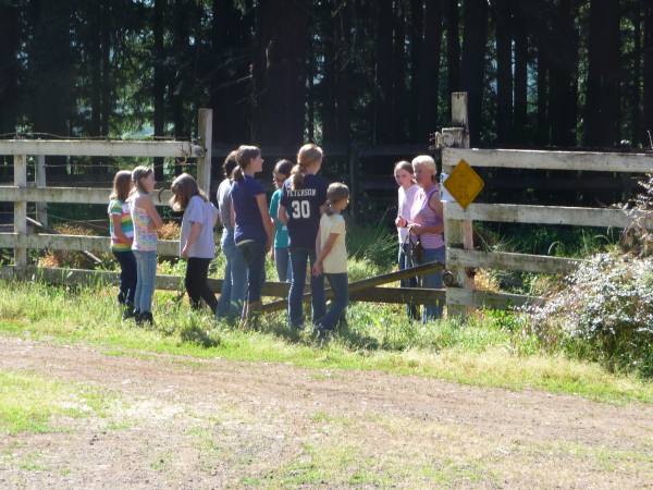 Summer Horse Camp for Kids 2015 (United States)