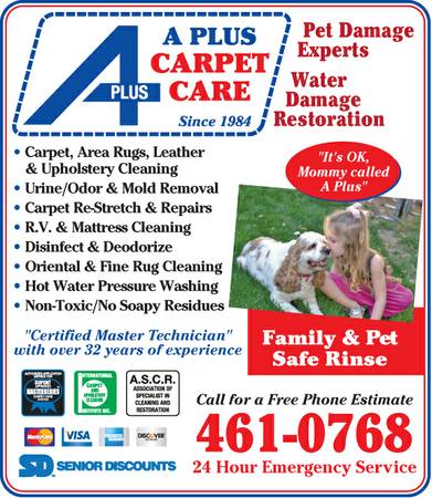 SUPERIOR QualityDEEPEST CARPET Cleaning PET Damage Experts amp MORE (Master Technician 31 yrs.WE Do ALL the RIGHT STEPS)