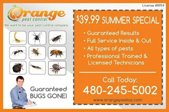 Termite and Pest Control  GOT BED BUGS  CALL US (EAST VALLEY)