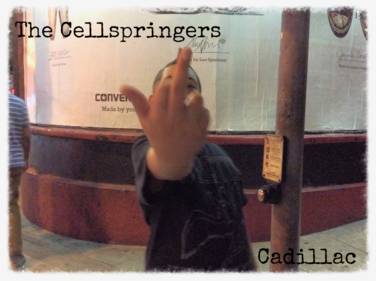 The Cellspringers