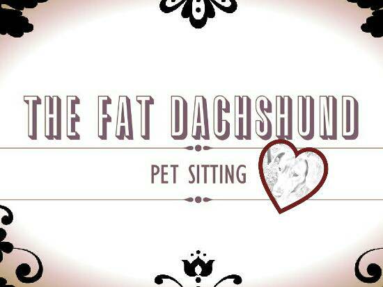 The Fat Dachshund LLC Pet Sitting Service (Indianapolis)