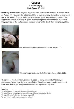 The Truth of Casper The Dogs Death