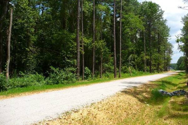 Trade 7.9 ac. mini farm land lot GoldsboroNahuntaPikevillePrinceton (Goldsboro)