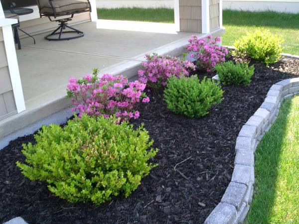 TRANS LANDSCAPING AND ALL OTHER YARD SERVICES (Olympia