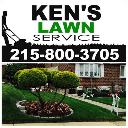 TREE and HEDGE TRIMMING and REMOVAL, CLEAN UP and HAUL AWAY SERVICE. (NORTHEAST PHILADELPHIA)