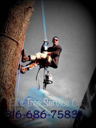 TREE CARE SERVICES (KC METRO AREA)