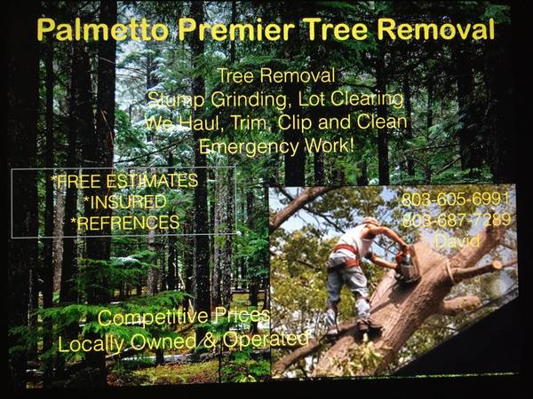 TREE REMOVAL AND STUMP GRINDING (METRO)