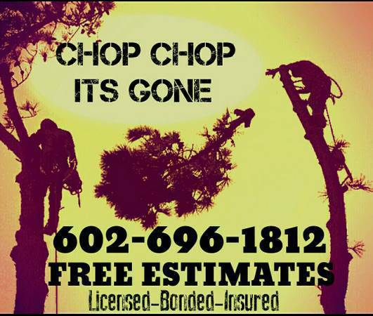 Tree Removal specialist...W15 YEARS EXPERIENCE(CHOP CHOP ITS GONE) (VALLEYWIDE)