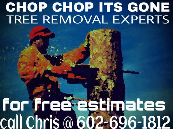Tree removals, palm and tree trim and pruning. licensed professionals (valleywide)