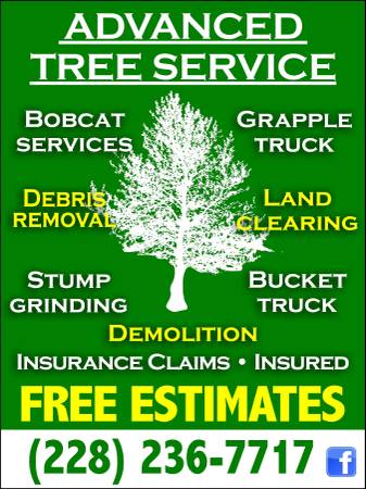 TREE SERVICE STUMP GRINDING DEBRIS REMOVAL LAND CLEARING DIRT DELIVERY (GULF COAST)