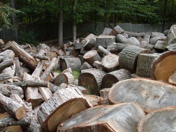 TREE SERVICES DROP OFF WOOD FOR FREE AND SAVE DUMP FEE (MANASSAS  CLIFTON)