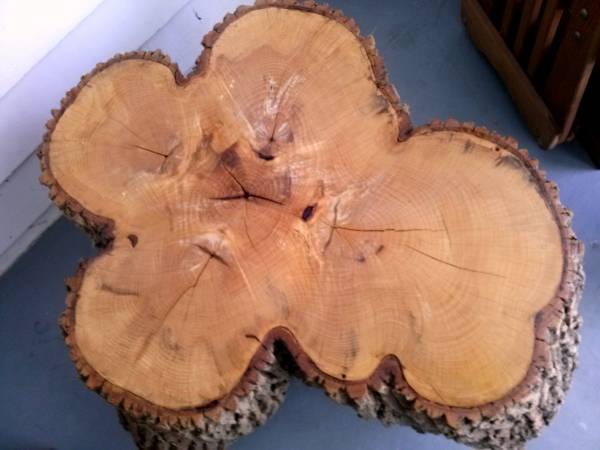 Tree Stump CoffeeEnd Table