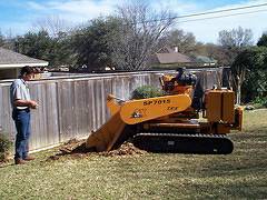 TREE STUMP GRINDING