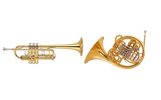 Trumpet and French horn lessons. 30