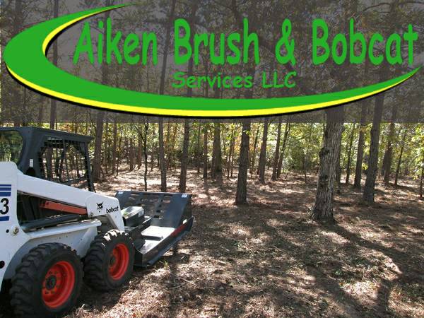 Underbrushing, Land Clearing, Hunting Property Setup amp More (Aiken county amp surrounding areas)
