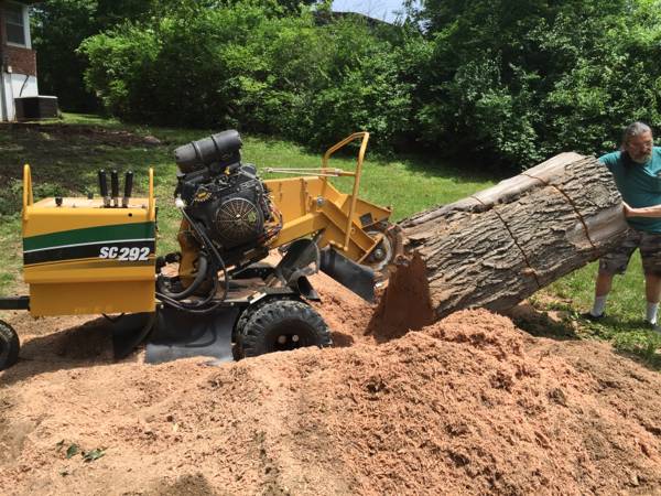 Uprooted tree  (St. Charles and anywhere at Louis or metro east)