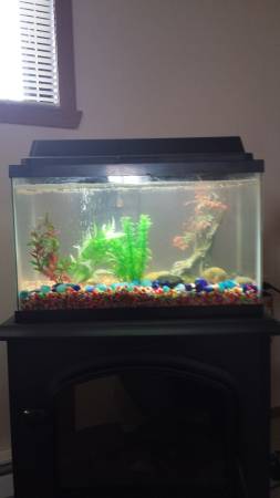 very nice 10 gallon aquarium