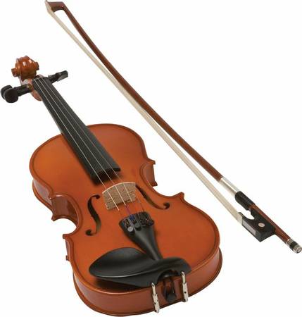 Violin individualGroup lessons. 25lesson