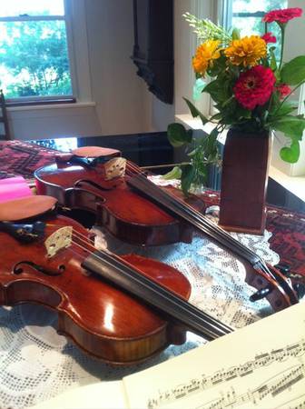 Violin  Viola Lessons (Mclean, VA)