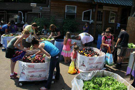 Volunteers Wanted for feed the community project (SherwoodNewberg)