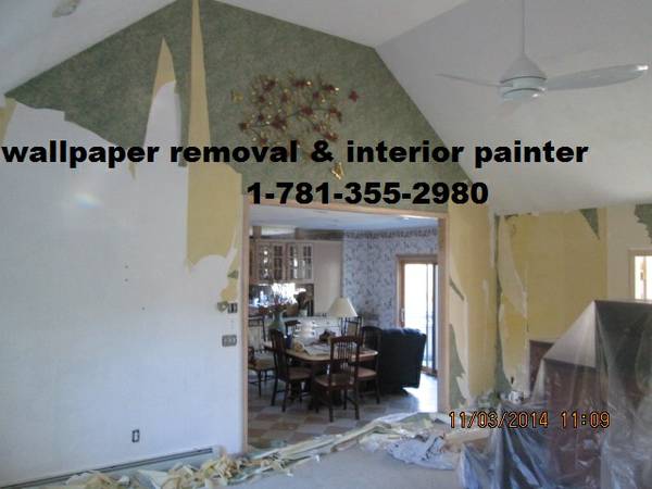 wallpaper removal