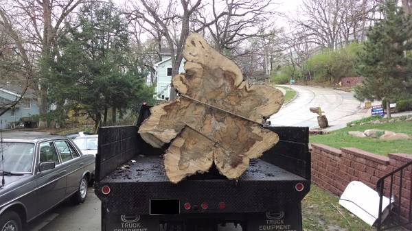 Wanted Trees for recycling (Homeowners or Tree Service Companies) (Bellevue)