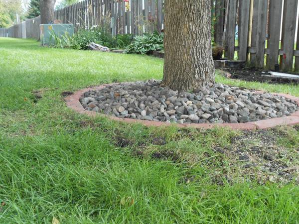 Water Drainage Problems ( Landscaping