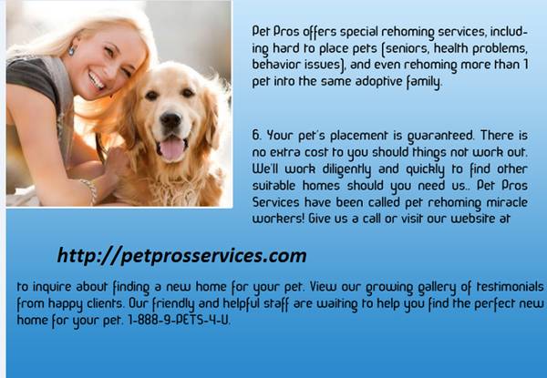 WE CAN FIND YOUR PET A LOVING FOREVER HOME PET ADOPTIONS SPECIALISTS