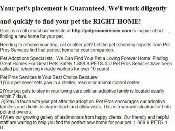 WE FIND HOMES FOR PETS. WE ARE EXPERTS WHO REHOME PETS