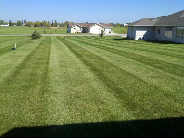 Weekly Lawn Mowing, Spring Clean