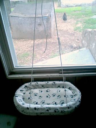 window cat bed with brackets (liberty)