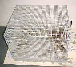 Wire mesh Critter Cage