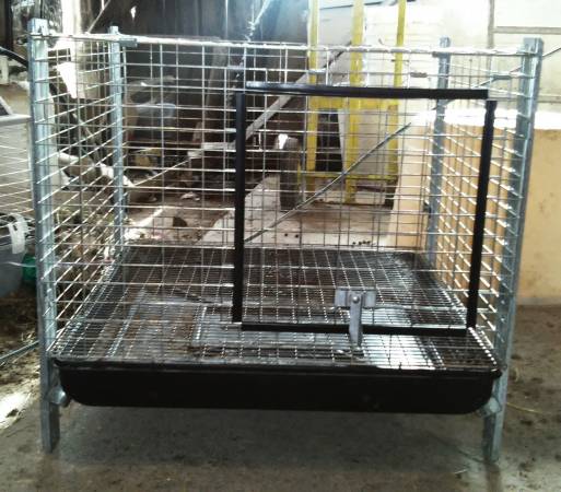 Wire Rabbit Cage with Tray (Pleasant Hill MO)